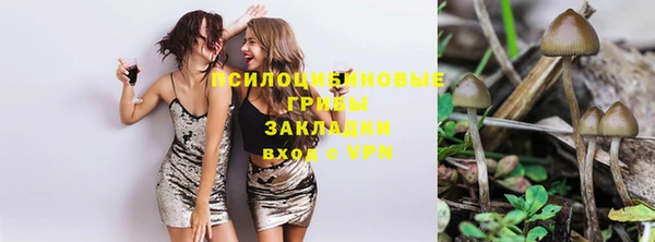 марки lsd Алексеевка